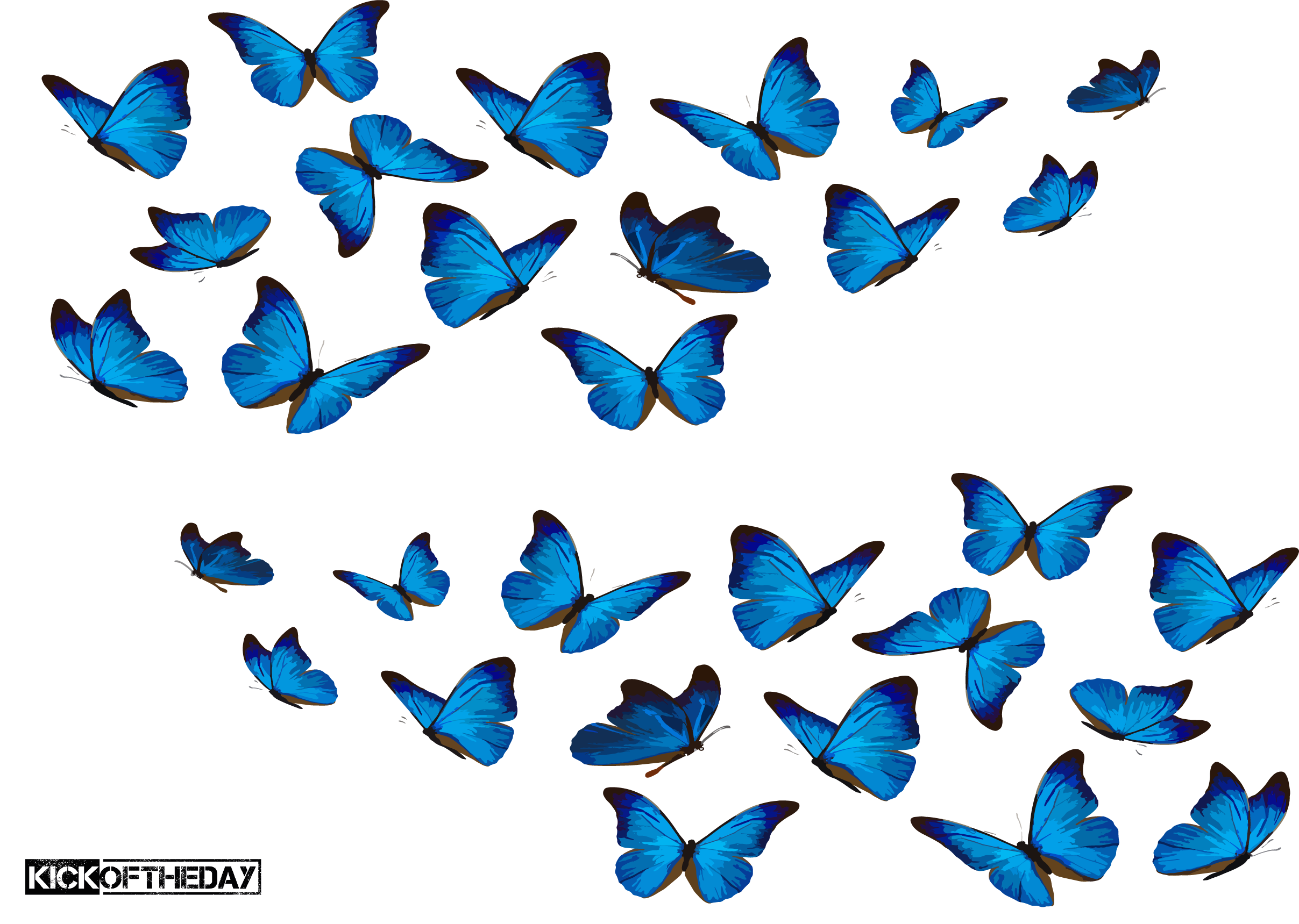 Blue Butterflies Shoe Wrap